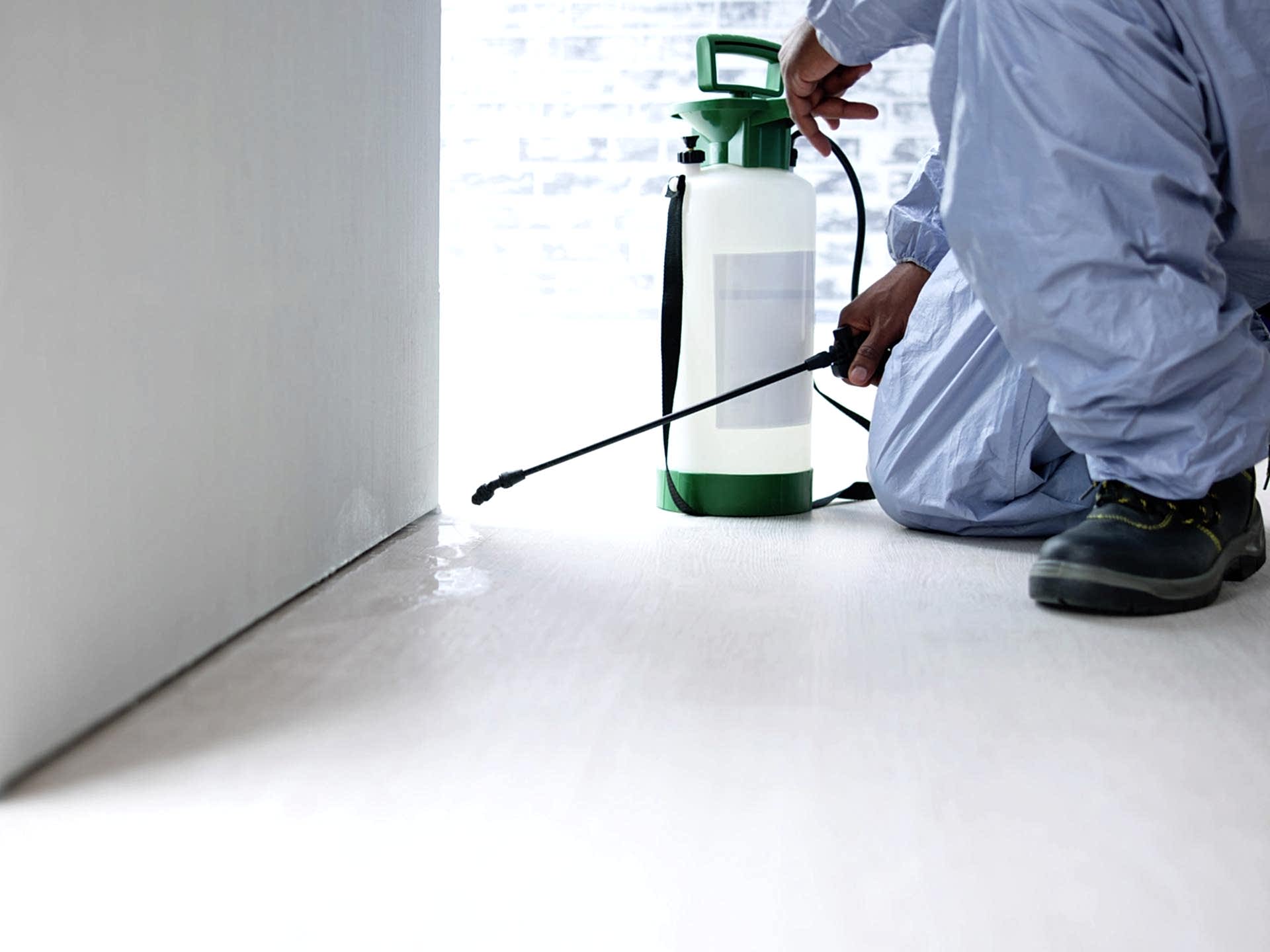 Hamam Böceği İlaçlama